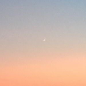 Meet your Posher, Leigh anne